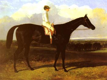 約翰 弗雷德裡尅 赫爾林 Jonathan Wild, a drak bay Race Horse, at Goodwood